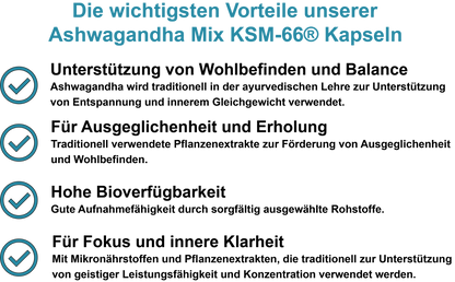 Ashwagandha Mix KSM-66® – Mit Ashwagandha KSM-66®, Magnesium, Zink und Vitamin B6 | 30, 60, 2×60, 3×60 vegane Kapseln