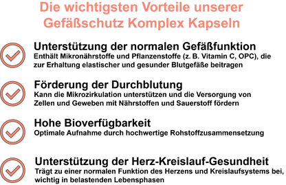 Gefäßschutz Komplex / Mit Vitamin C, Selen, Vitamin E, Vitamin D3 und Oligomere Proanthocyanidine (30, 60, 2x60, 3x60 Vegane Kapseln)