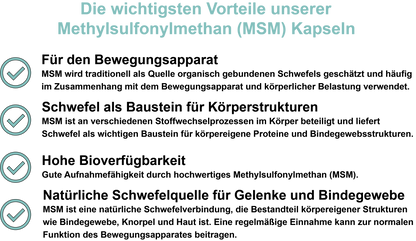 Methylsulfonylmethan (MSM) – Hochdosiert 1000 mg pro Tagesdosis | 30, 60, 2×60, 3×60 vegane Kapseln