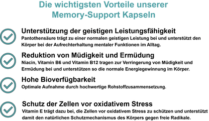 Memory-Support / Mit allen 8 B-Vitaminen, Vitamin E und Jod  (30, 60, 2x60, 3x60 Vegane Kapseln)