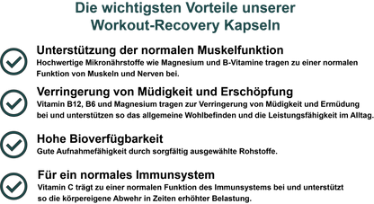 Workout-Recovery – Mit allen 8 B-Vitaminen, Magnesium, Vitamin C, MSM und Oligomere Proanthocyanidine (OPC) | 30, 60, 2×60, 3×60 vegane Kapseln