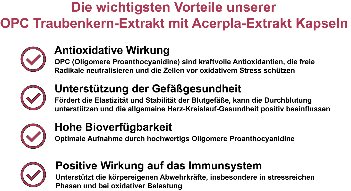 OPC Traubenkern-Extrakt mit Acerola-Extrakt / Hochdosiert 360 mg Traubenkern-Extrakt und 90 mg Acerola-Extrakt pro Tagesdosis (30, 60, 2x60, 3x60 Vegane Kapseln)