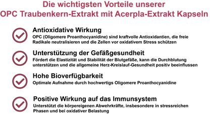 OPC Traubenkern-Extrakt mit Acerola-Extrakt / Hochdosiert 360 mg Traubenkern-Extrakt und 90 mg Acerola-Extrakt pro Tagesdosis (30, 60, 2x60, 3x60 Vegane Kapseln)