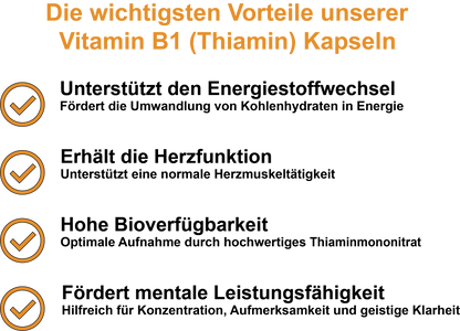 Vitamin B1 (Thiamin) / Hochdosiert 250 mg pro Tagesdosis (30, 60, 2x60, 3x60 Vegane Kapseln)