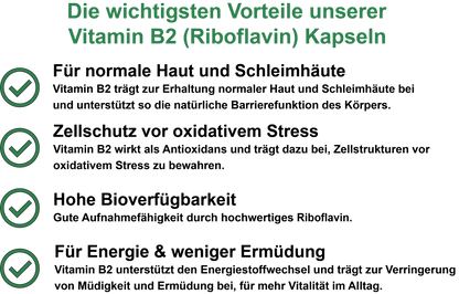 B-Vitamin Performance Paket (5er) – Für maximale Energie & einen aktiven Stoffwechsel