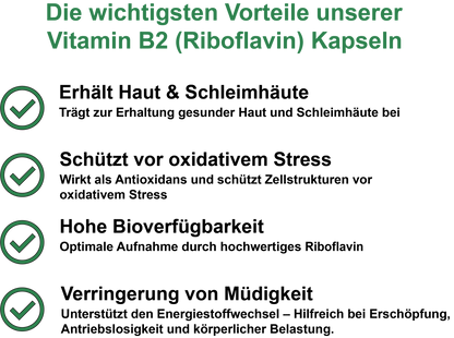 Vitamin B2 (Riboflavin) / Hochdosiert 100 mg pro Tagesdosis (30, 60, 2x60, 3x60 Vegane Kapseln)