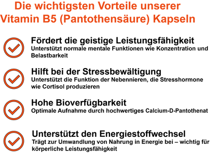 Vitamin B5 (Pantothensäure) / Hochdosiert 200 mg pro Tagesdosis (30, 60, 2x60, 3x60 Vegane Kapseln)