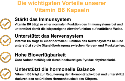 Vitamin B6 – Hochdosiert 40 mg pro Tagesdosis | 30, 60, 2×60, 3×60 vegane Kapseln