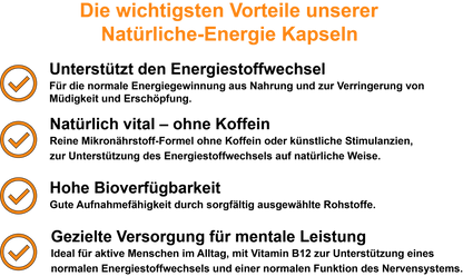 Natürliche-Energie – Mit B-Vitaminen, Coenzym Q10, Oligomere Proanthocyanidine (OPC) und Ashwagandha | 30, 60, 2×60, 3×60 vegane Kapseln